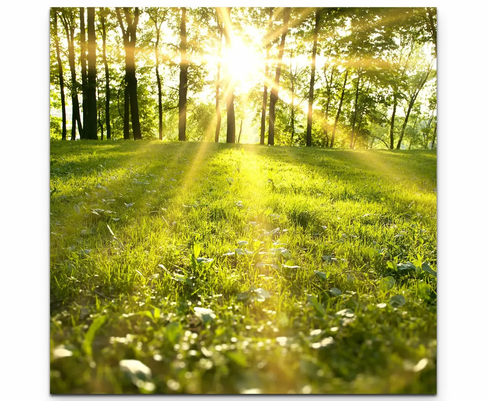 Monalt Абстрактный пейзаж на холсте