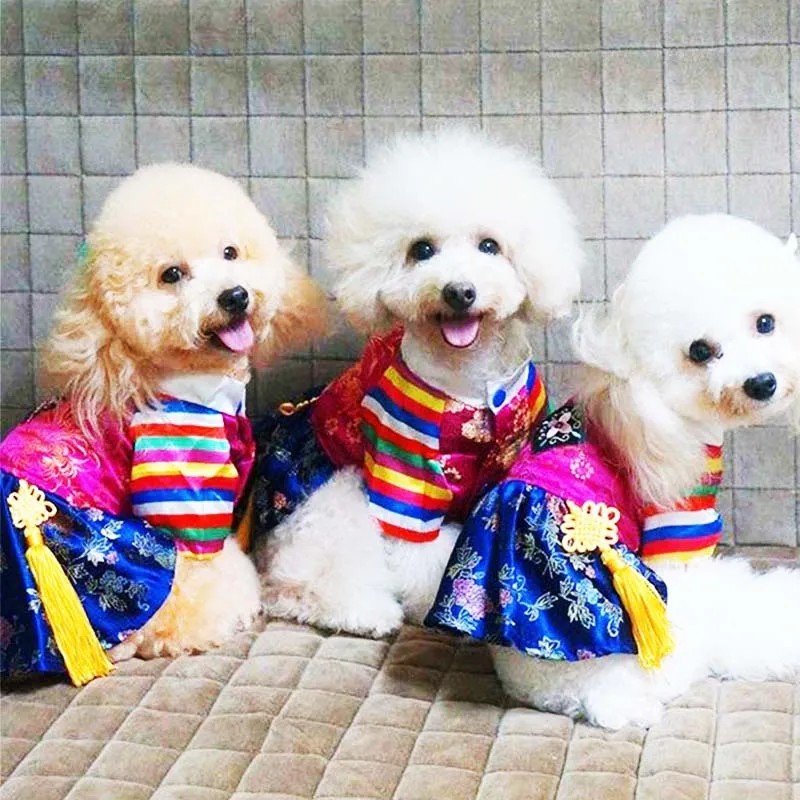 

Новинка Корейская Этническая Одежда для домашних животных традиционный вышитый дворец Hanbok летняя одежда для собак оптом одежда для собак костюм для собак