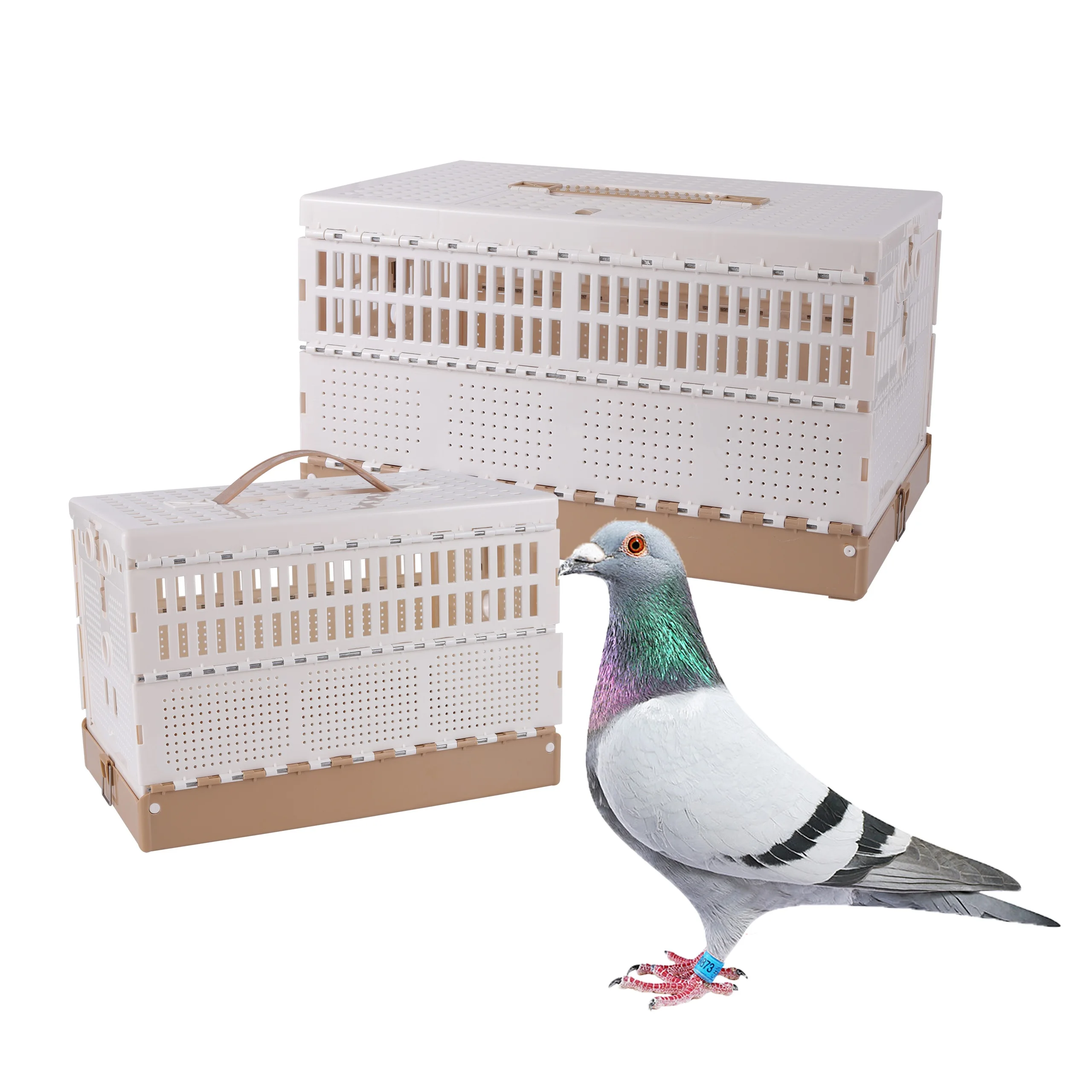 

Folding Pigeon Cage Pigeon Training Portable Cage Homing Pigeon Training Release Cage Flying Cage Pigeon Cage