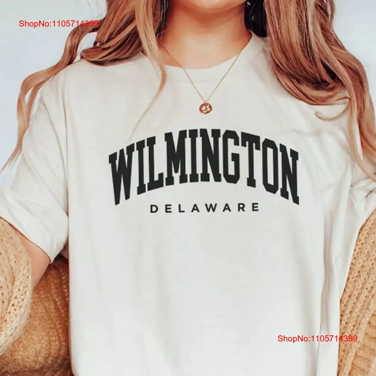 Фото Футболка-свитшот Wilmington Delaware, винтажный стиль, с эффектом потертости, для повседневной носки, мягкий, эластичный, удобный, универсальный, стильный. №1