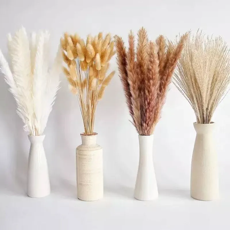 

100 PCS Dried Pampas Grass Contains Bunny Tails Dried Flowers Reed Grass Bouquet for Wedding Boho Flowers Home Table Decor