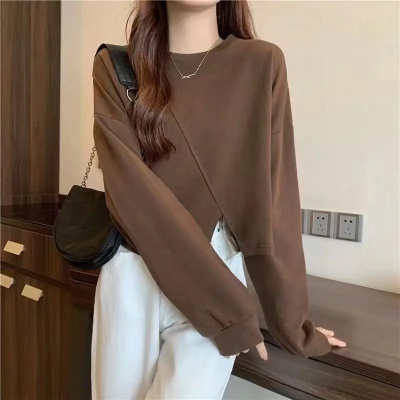 

2021 New Fall Trend Casual Long Sleeve Pullover Top Embroidered Oversized Brown Y2k Sweatshirt Ladies Winter Fashion Clothing