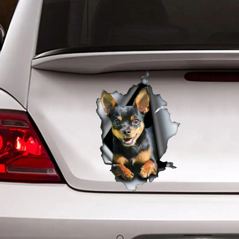 

Black and tan Chihuahua car decal, torn metal decal, chihuahua car decal