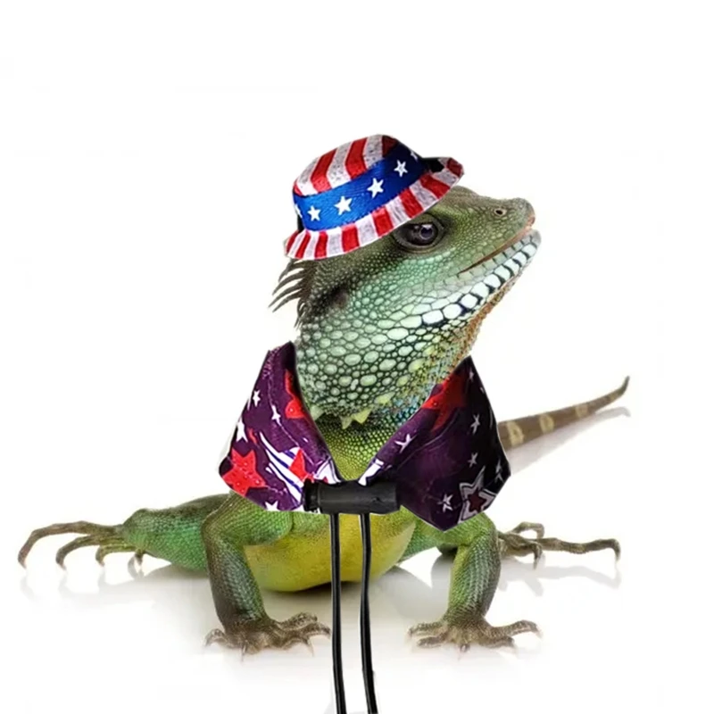 Регулируемый костюм бородатого дракона шляпа ящерицы с плащом для рептилий