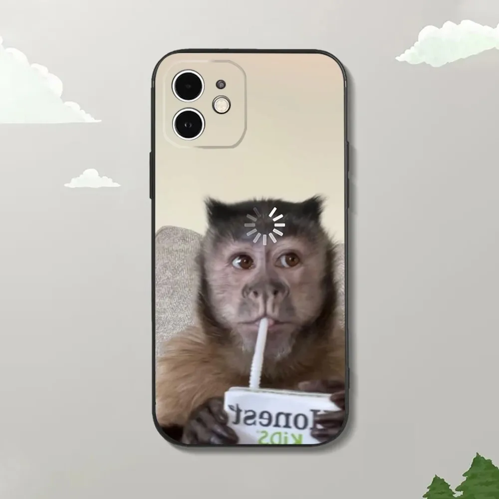 Силиконовый чехол для iPhone16 15 14 13 12 Mini 11 Pro XR X XS MAX 7 8 Plus