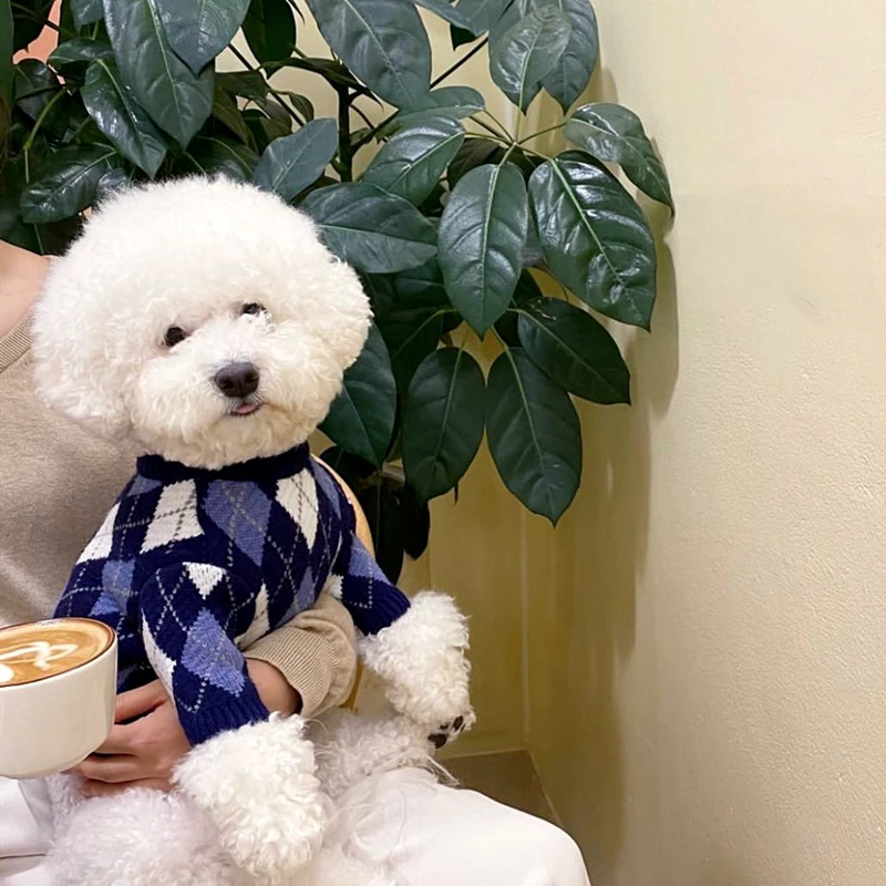 

Pet Clothes Autumn Winter Medium Small Dog Knitted Sweater Warm Wool Plaid Shirt Kitten Puppy Fashion Pullover Chihuahua Poodle