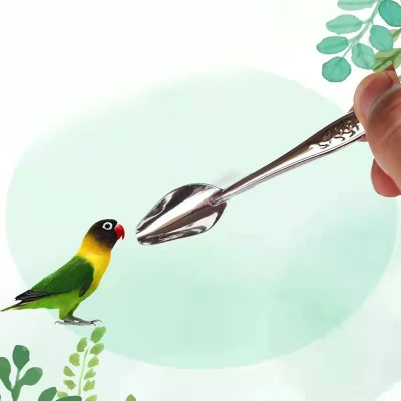 

Nestling Feeding Spoon Bird Parrot Feeding Spoon Stainless Steel Water Milk Powder Feeder Spoons Bird Supplies 1 Pcs/set