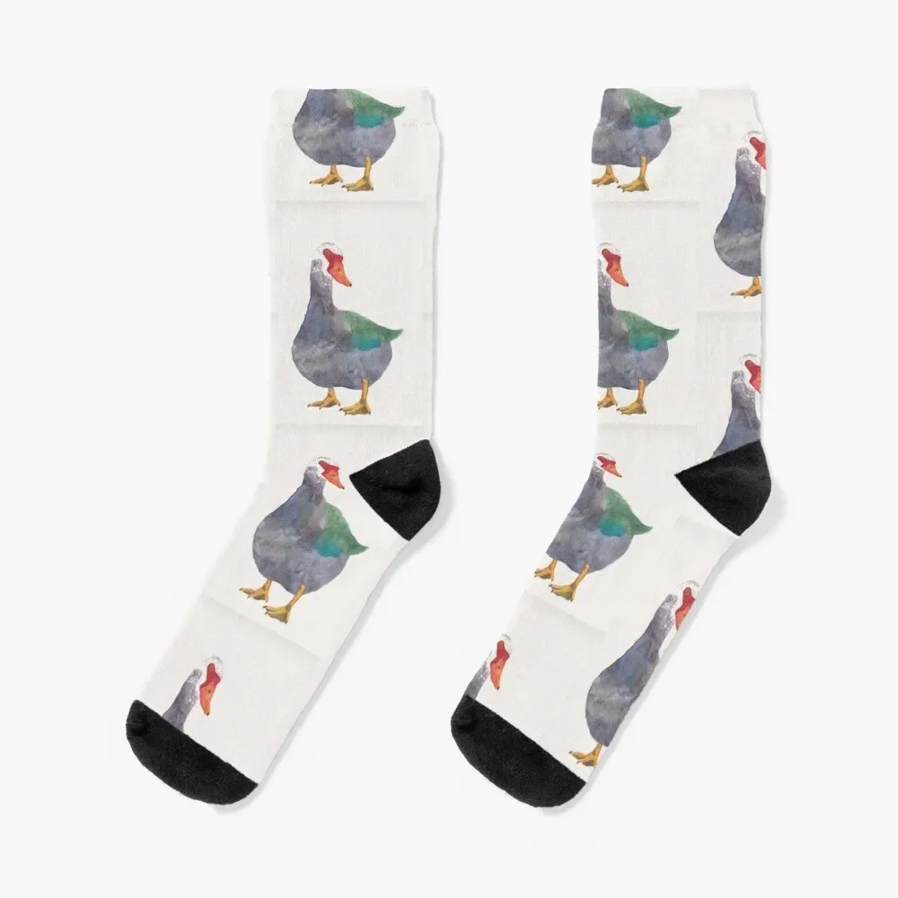 Носки Muscovy с изображением утки акварельных птиц велосипедные мужские