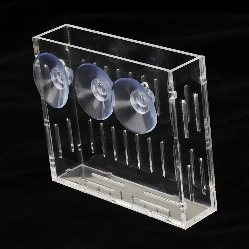 Акриловые семена растений подставка для чашки Glossostigma Hemianthus кореtrichoides