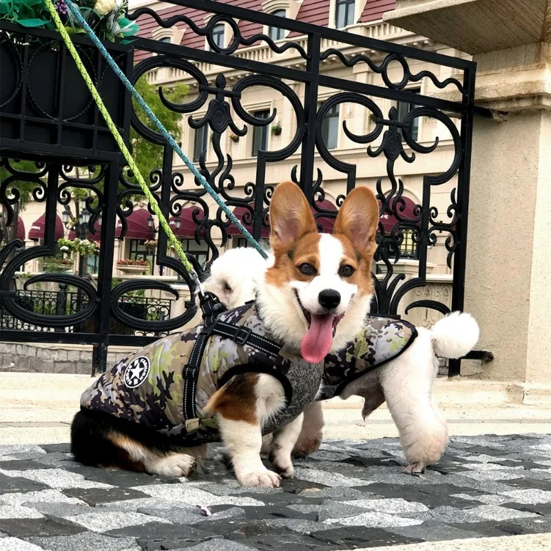 

Одежда для домашних животных, хлопковая одежда для собак, светоотражающий хлопковый жилет, утепленная теплая одежда корги для йорков, Роскошная Одежда для собак