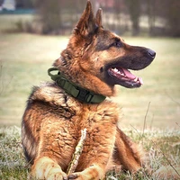 military tactical dog collar german shepard medium large dog collar for walking training quick release nylon collar with handle