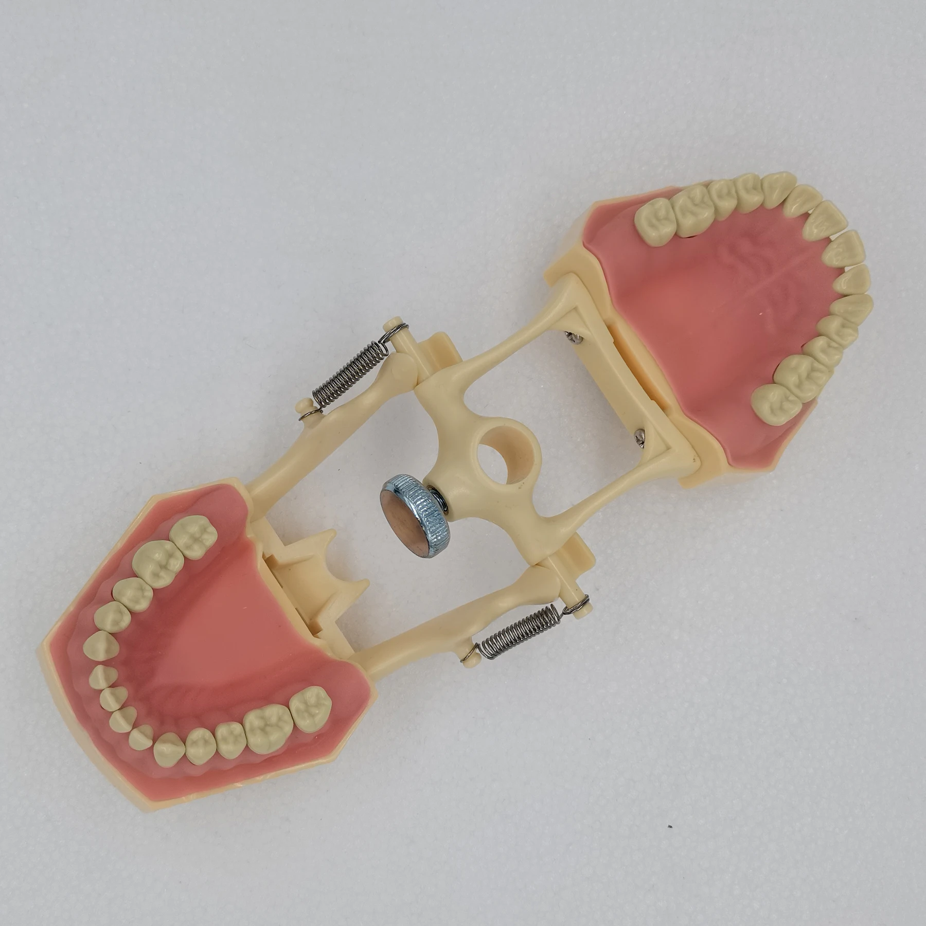 Frasaco ANKA-4 Typodont Fit Dental 28 шт. ввинчивающаяся модель зубов практика наполнение