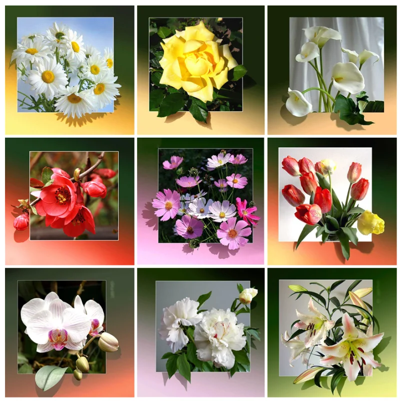 5D алмазная живопись сделай сам цветы роза Маргаритка круглая вышивка мозаика