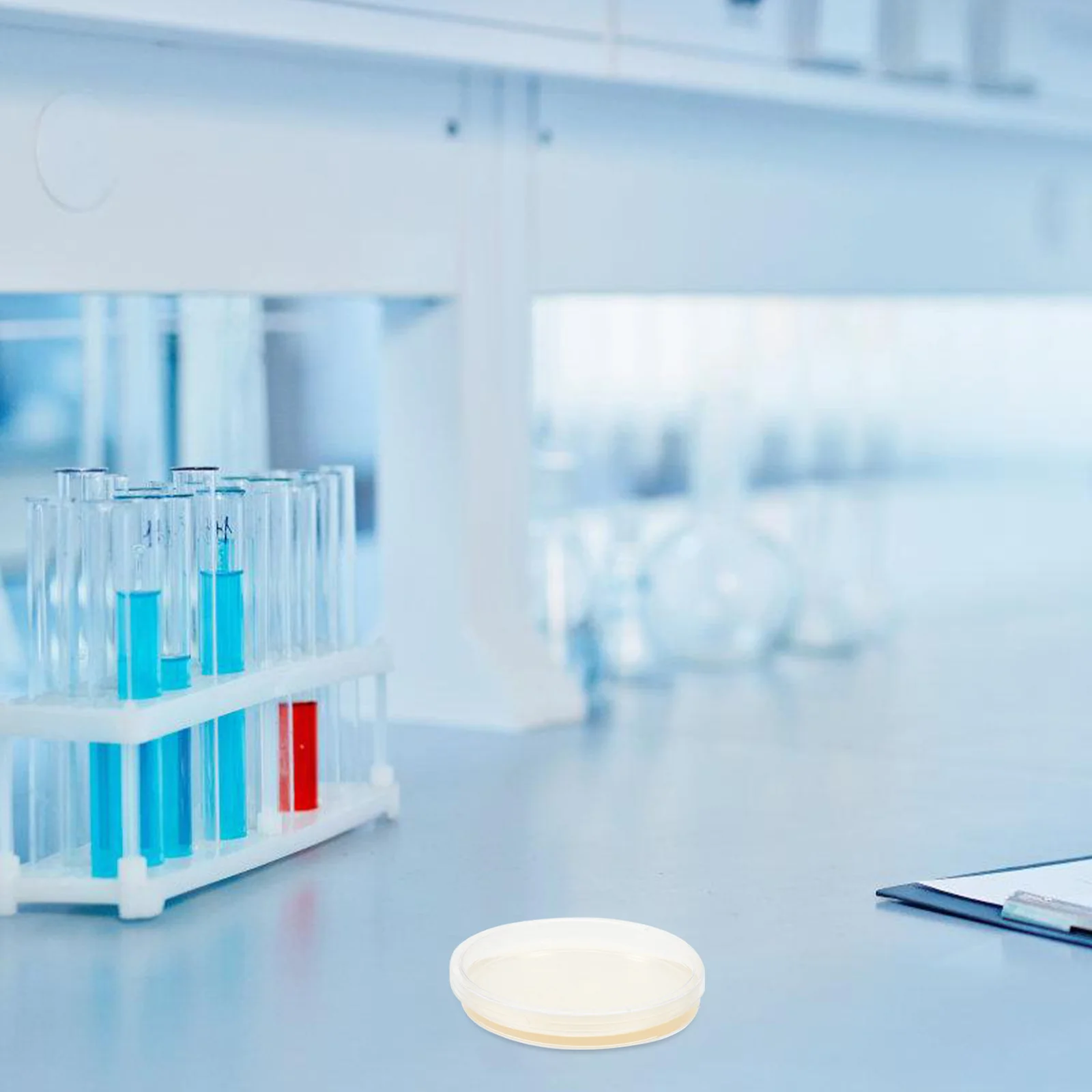 10 шт. тарелка с питательным агаром принадлежности для научных экспериментов