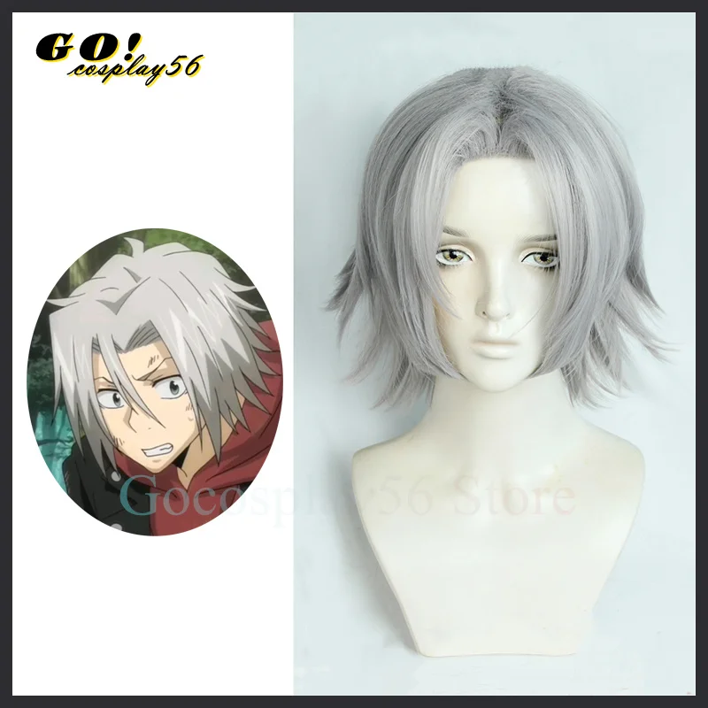

HITMAN REBORN! Gokudera Hayato Cosplay Wig Gray Synthetic Hair Middle Part Scalp Grey Heat Resistant Halloween Role Play