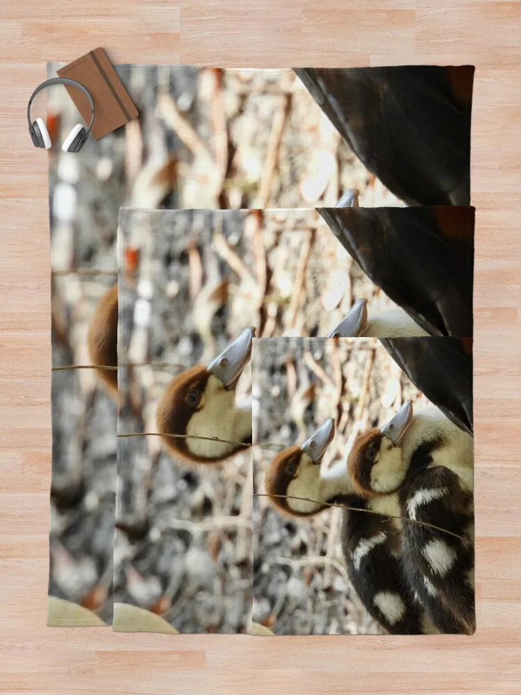 Radjah Шелдук утки всегда будущий мир пледы декоративное одеяло милые клетчатые