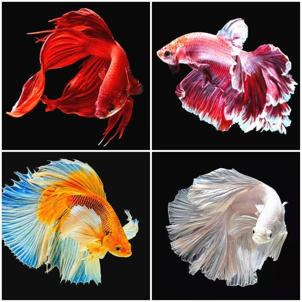 Алмазная живопись животные рыба полная вышивка круглые бусины крестиком мозаика