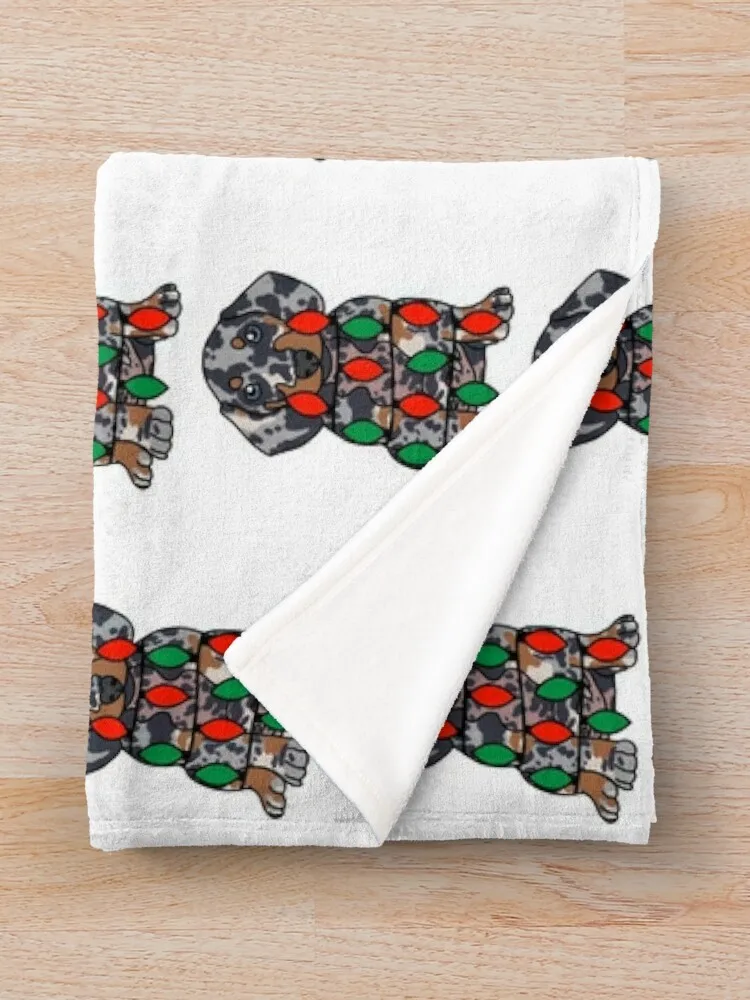 Такса Даппе Собака с рождественскими огнями завернутая вокруг тела –