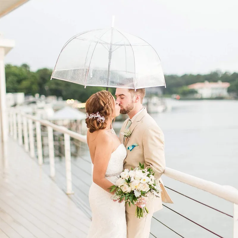 Transparent Stick Umbrellas Auto Open Windproof With European