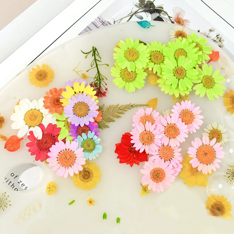 

1 Bag Dried Flowers UV Resin Filler Jewelry Making Plant DIY Craft Decoration Chrysanthemum Natural Embossing Crafts Resin Mold