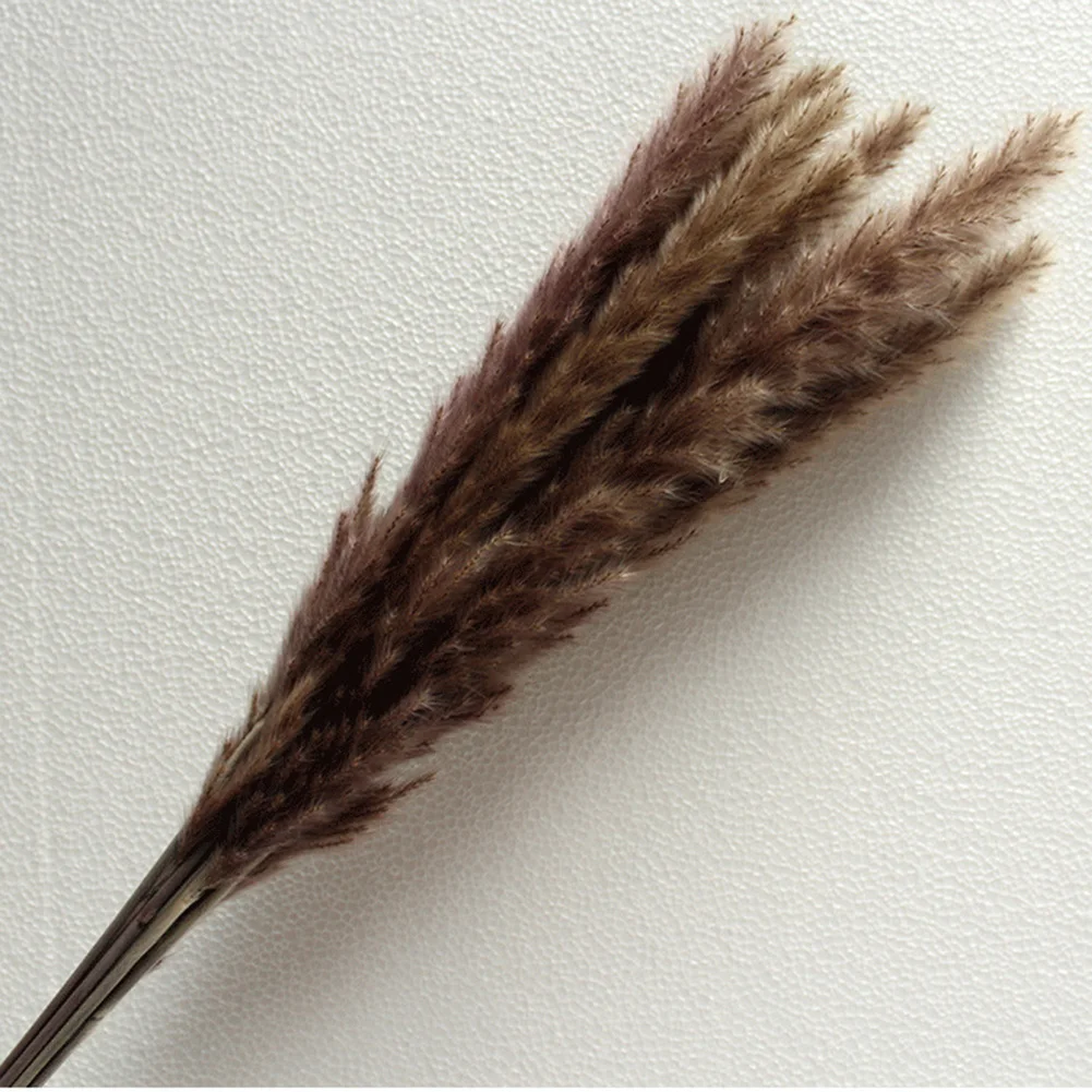 

15 шт. сушеные тростниковые цветы, искусственные сухие пампасы, трава, фрагмиты, связка, естественное домашнее свадебное украшение вечерние ...