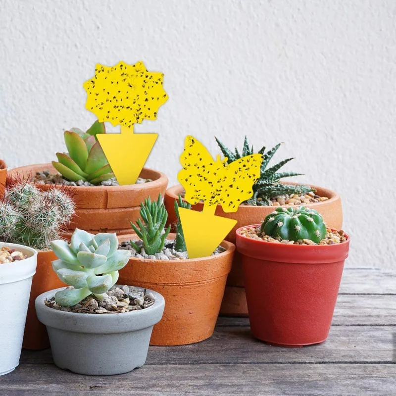 Рисунок 4 - Двусторонняя клейкая ловушка для мух