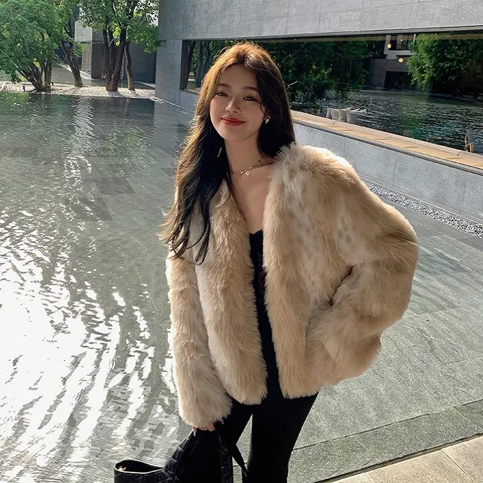 Рисунок 6 - Дизайнерская зимняя Европейская