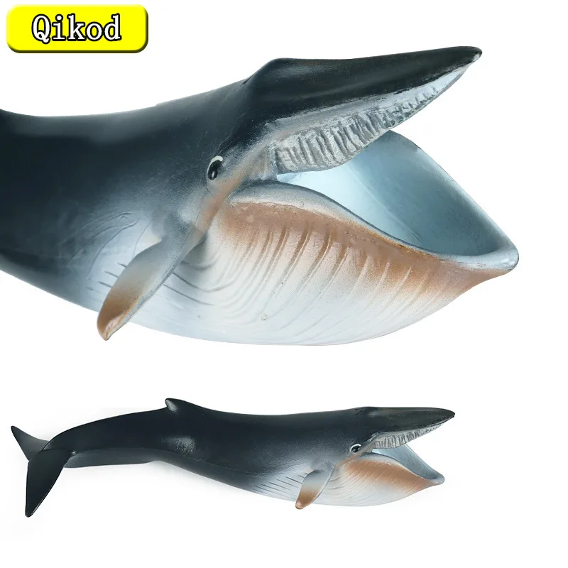 

Simulation Marine Animal Whale Model Children's Cognitive Static Solid Plastic Toy New Blue Whale Shark Kids Collection Toy Gift