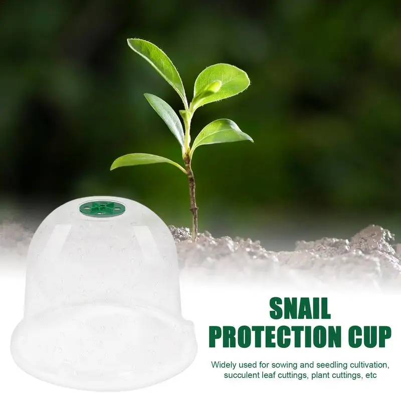 10 шт. куполообразные контейнеры для растений с крышкой