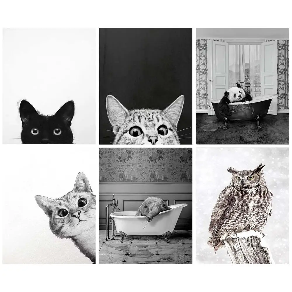

Алмазная 5D картина «сделай сам», алмазная вышивка, черный и белый кот, ручная работа, подарок, вышивка крестиком, мозаика, рисунок, украшение ...