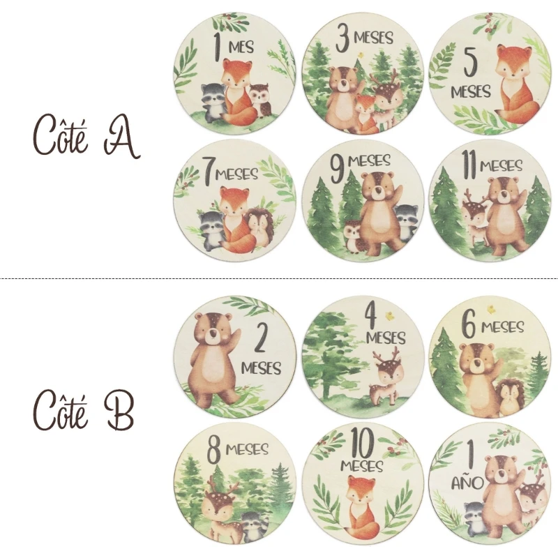 

6pcs Baby Monthly Milestone Cards Baby Milestone Cards Milestone Discs