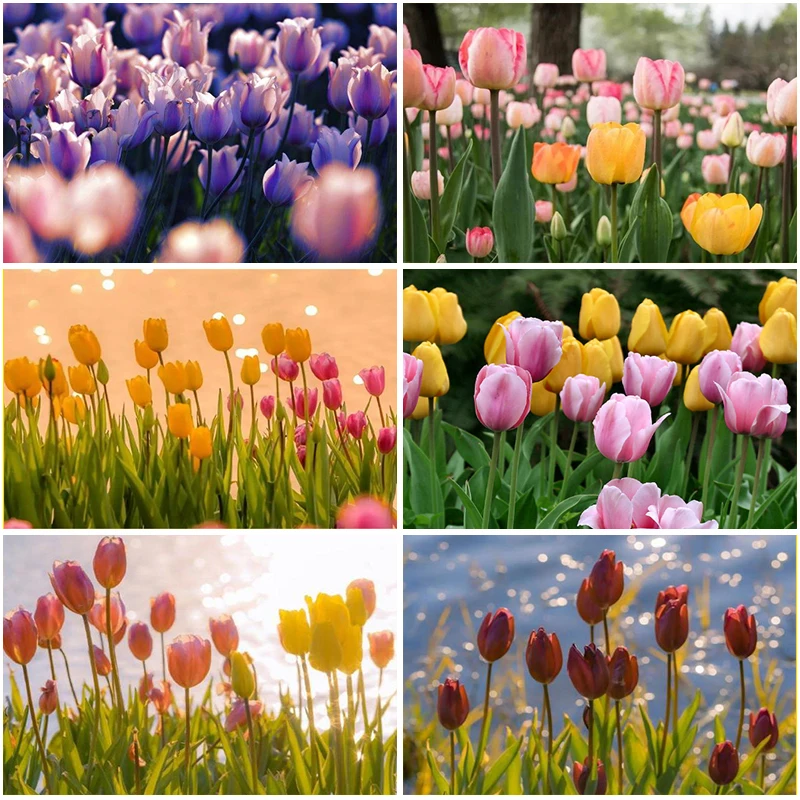 

Набор для алмазной вышивки 5D «сделай сам», картина с цветами, множество цветов, мозаика для творчества, украшение для дома