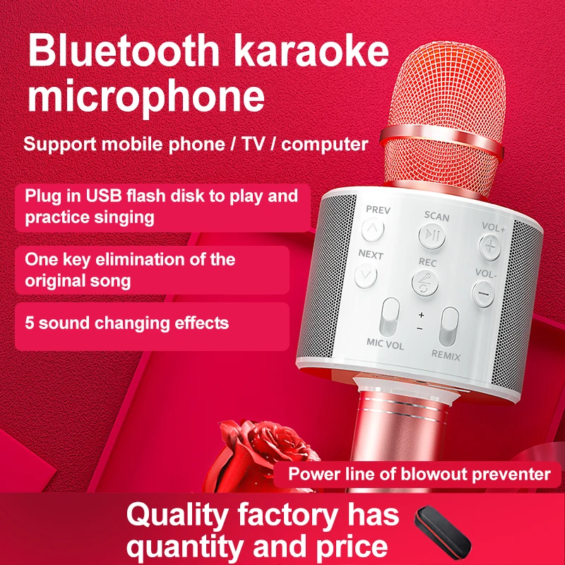 Портативный bluetooth караоке беспроводной Профессиональный динамик WS858 2 в 1