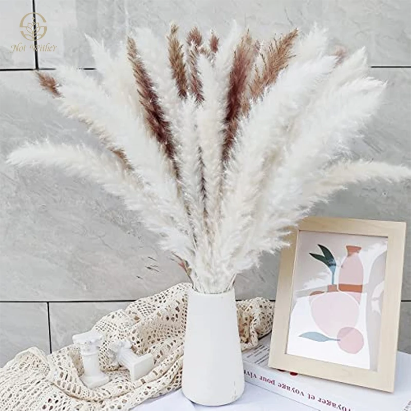 

30PCS Natural Dried Flowers Pampas Grass Boho Home Decor Arrangement Country Wedding Decoration Bouquet Tables Room Ornament