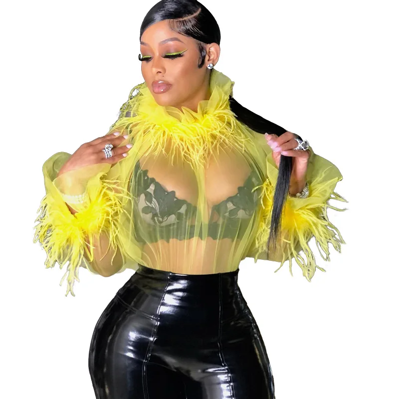 

T Shirt Women Tops With Feather Pleated Turtleneck Tee Shirt Summer New Fashion Solid Mesh See Through Sexy Clubwear Female Tops