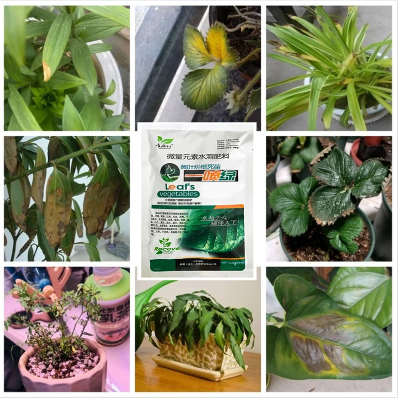 25 г зеленые листья листьев пищевые микроэлементы водорастворимое удобрение