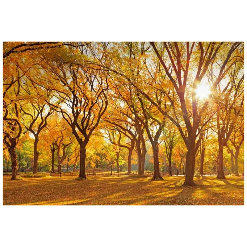 

Алмазная вышивка «сделай сам», круглая смола, алмазная вышивка крестиком, домашний Настенный декор (осенний лес), 30x40 см