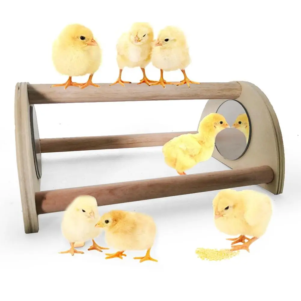 

Pet Chicken Wooden Perch Stand With Mirror Standing Training Toys Pet Supplies For Home Office Pet Store