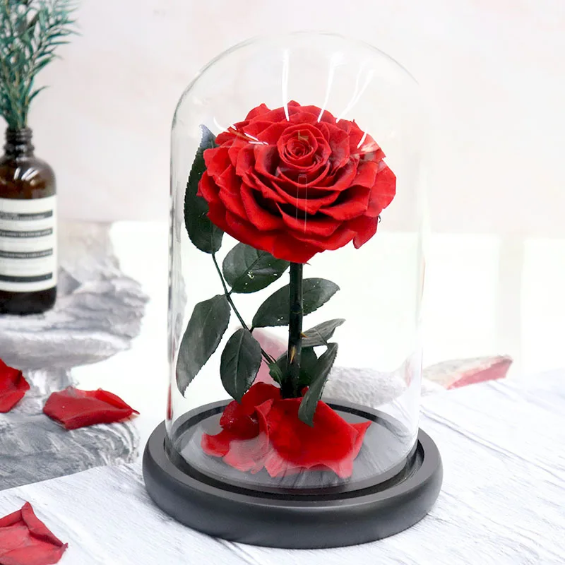 

Eternal Rose Beauty and The Beast Preserved Rose Flower In Glass Dome LED Light Forever Gift for Valentine Mother Day Christmas