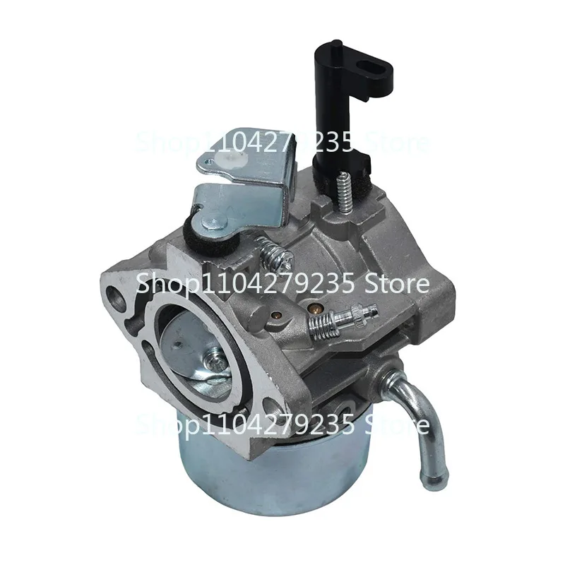 Применимо к Брайтону 715782 715783 715525 715494 715390 Карбюратор GM401P