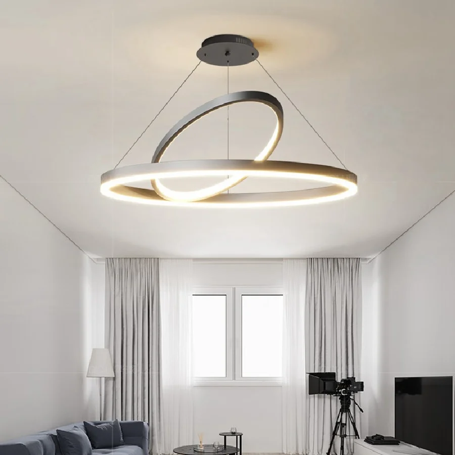 

Modern LED Living Room Chandelier Luxury Bedroom Ceiling Lamp Individuality Restaurant Interior Decoration Black White Lamps