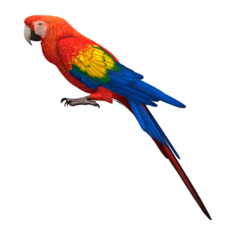 

Настенная наклейка C205#