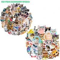 115pc funny cat stickers for water bottle waterproof cut animal decals for diy toys girls boys kids teens adults pet bowls decor