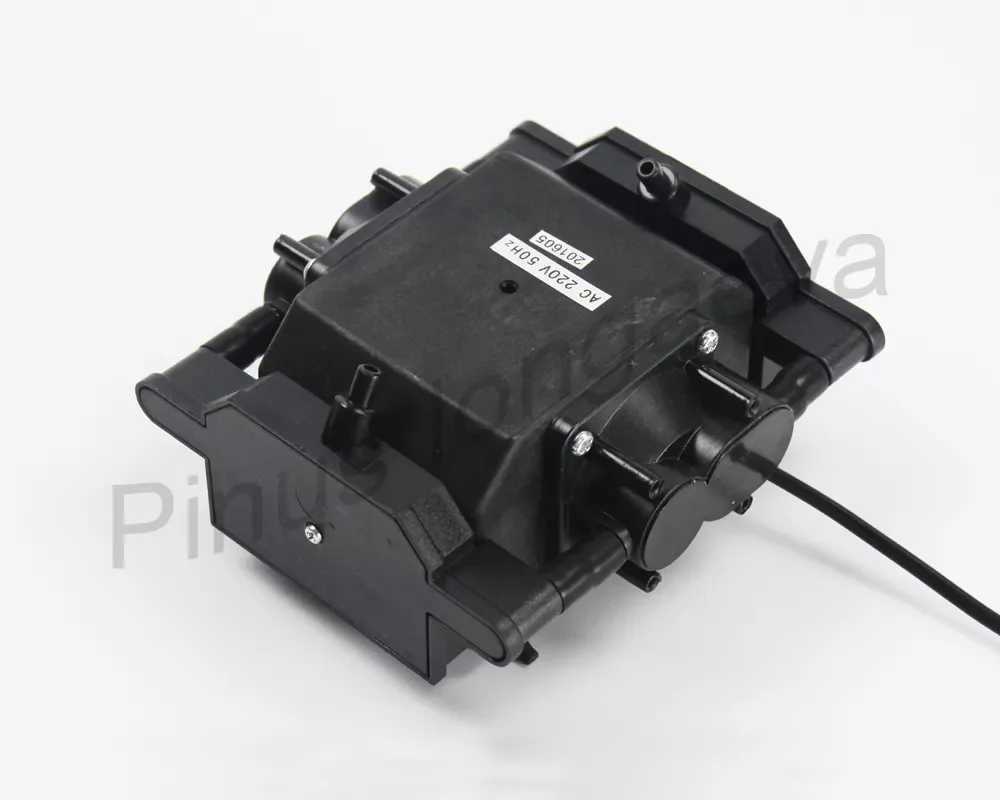 

Pinus longaeva 4 8 15 20 25L/min Single gas nozzle ozone air pump for ozone generator parts gas compressor aeration oxygenation