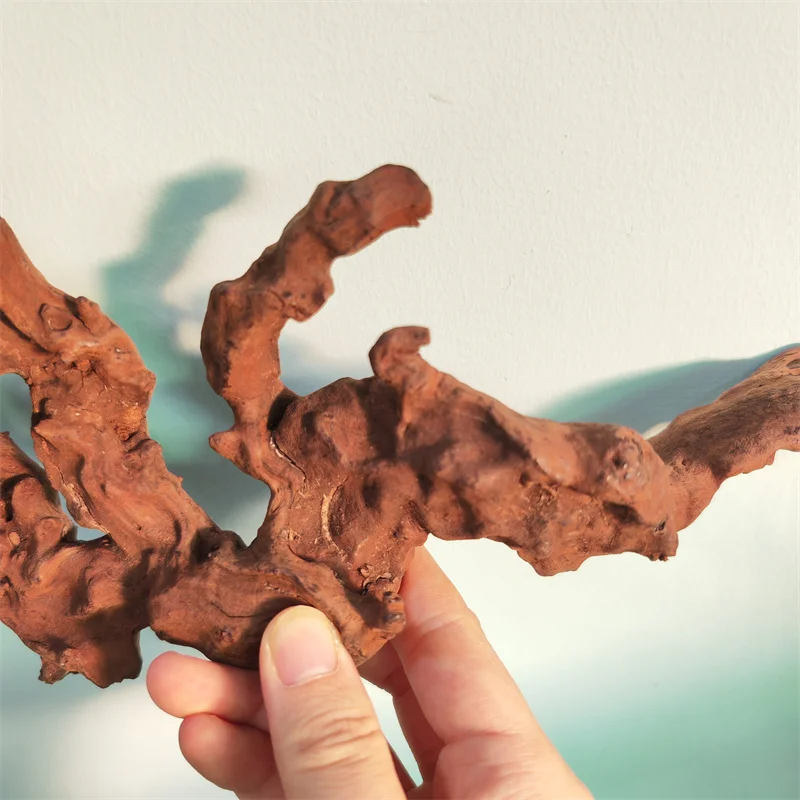 Водные растения для аквариумов украшение аквариума воздушный камень аксессуары