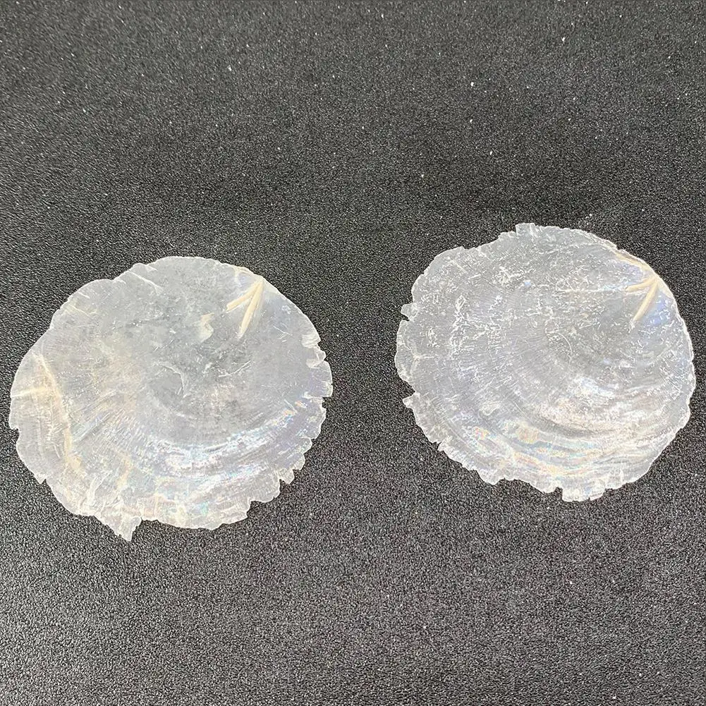 

500g Natural Mirror Material Flat Round Shape Freshwater Fittings Jewelry Chimes Beads Decoration Wind Making V3p8