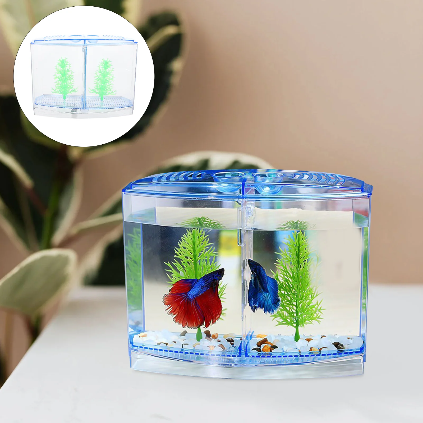 

Fish Tank Aquarium Acrylic Small Goldfish Starter Betta Tabletop Mini Desktop Baby Container Separator Accessories Breeder Box