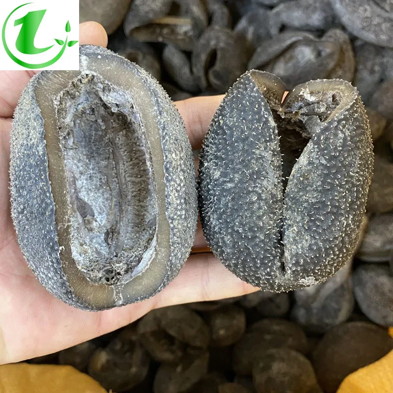 

Spherical Sea Cucumber Wild Spherical Sea Cucumber 100% Dried, 13 Pieces 500g of Thick Dried Sea Cucumber