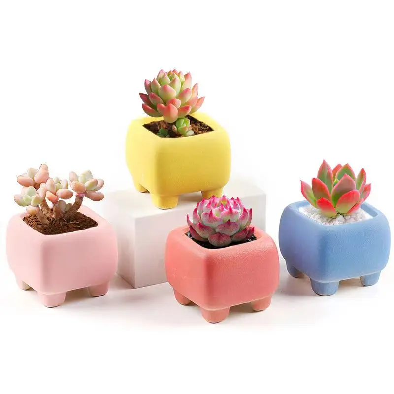 Colorful Succulent Plant Pots Mini Succulent Planter Rainbow Colors Ceramic Flowerpot Planter Home Office Desktop Decor
