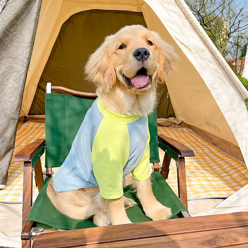 

Одежда из золотой шерсти летняя тонкая лабрадорская кайма животное разведения летняя защита от выпадения волос воздухопроницаемая одежда ...